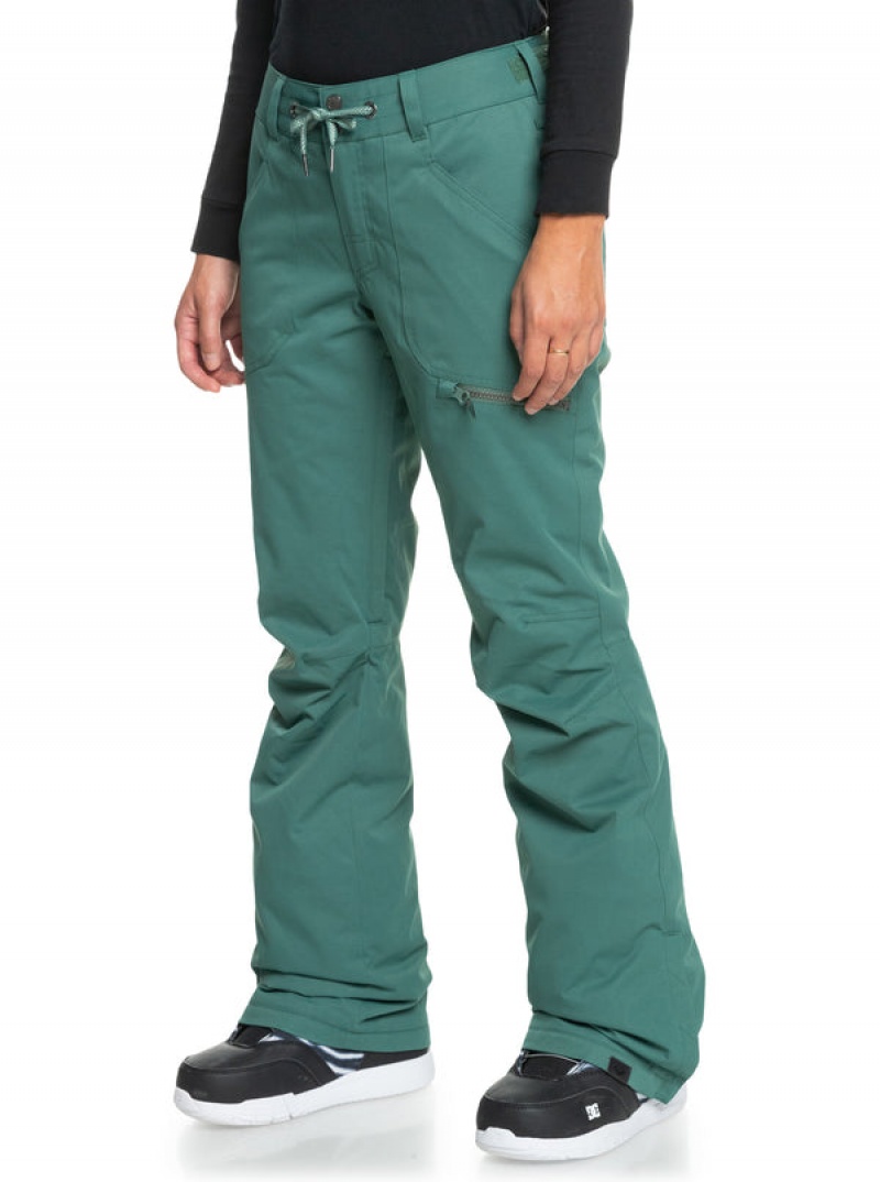 Roxy Nadia Technical Snowboard Pants | 60124-ETGU