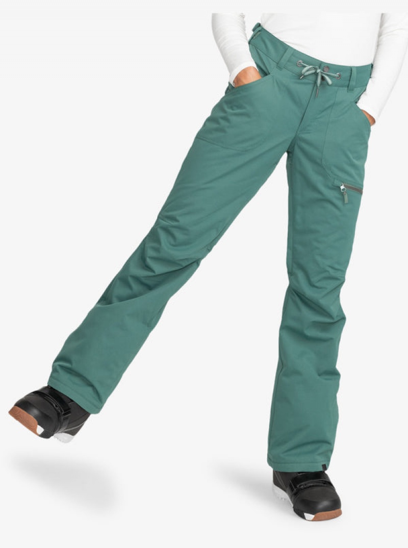 Roxy Nadia Technical Snowboard Pants | 60124-ETGU