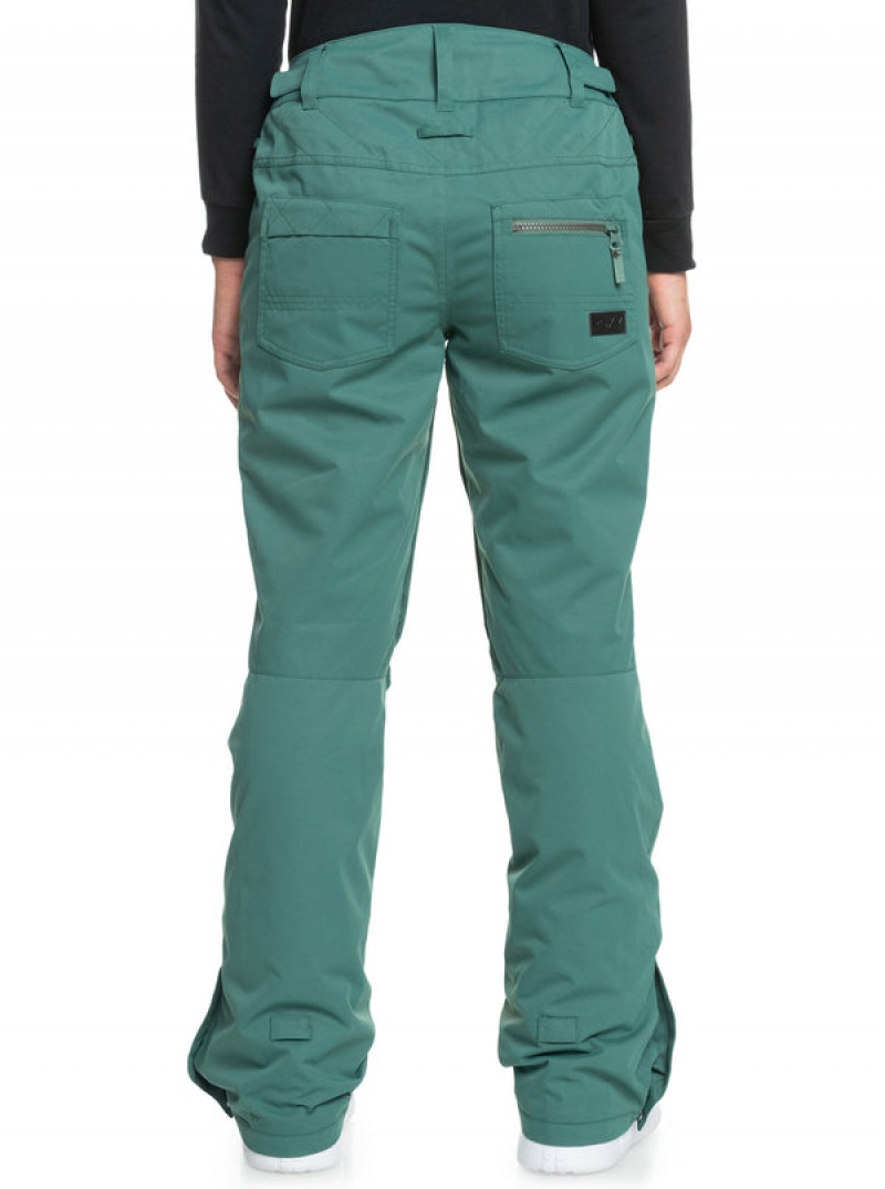 Roxy Nadia Technical Snowboard Pants | 60124-ETGU