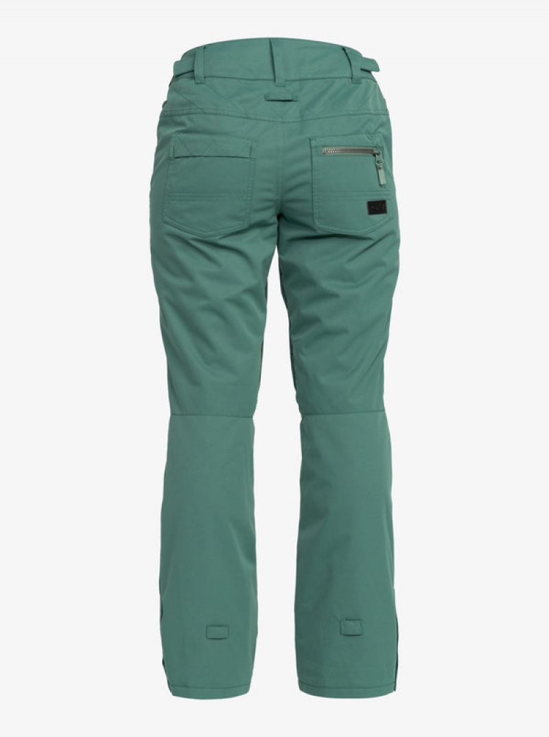 Roxy Nadia Technical Snowboard Pants | 60124-ETGU