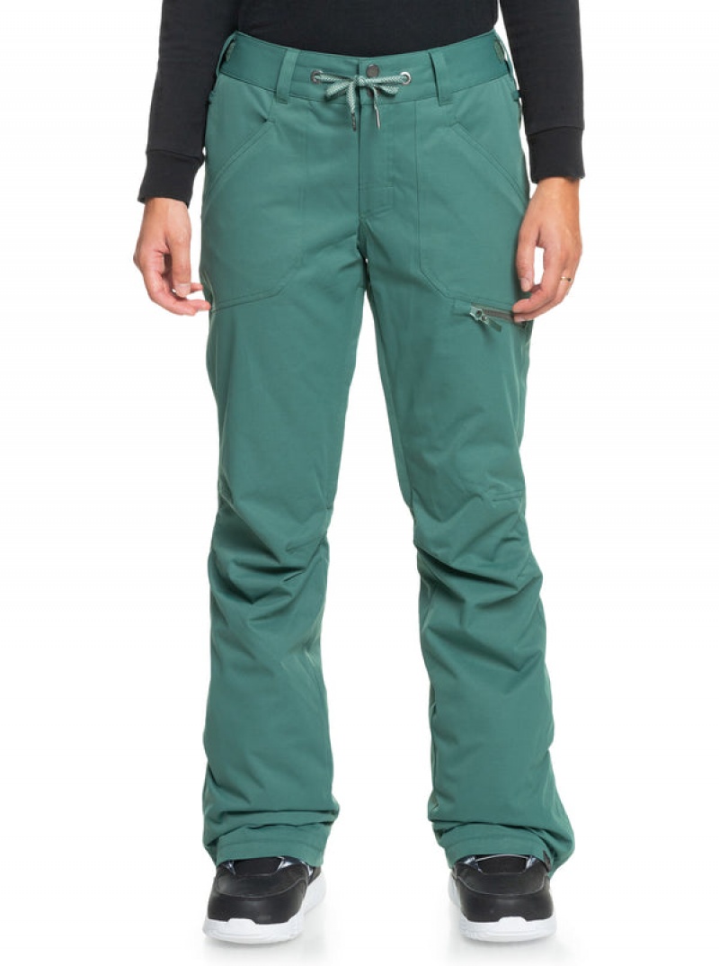 Roxy Nadia Technical Snowboard Pants | 60124-ETGU