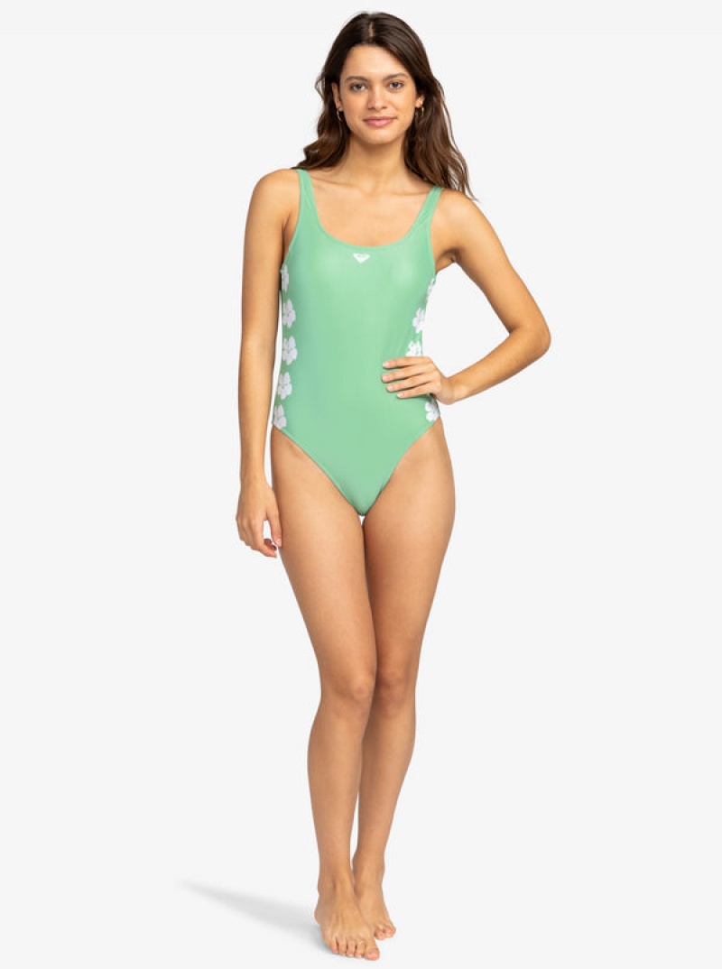 Roxy OG One-Piece Swimsuits | 69083-EQOM