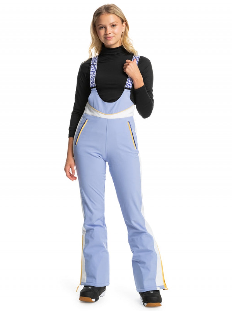 Roxy Peak Chic Technical Bib Snowboard Pants | 91254-EIZX