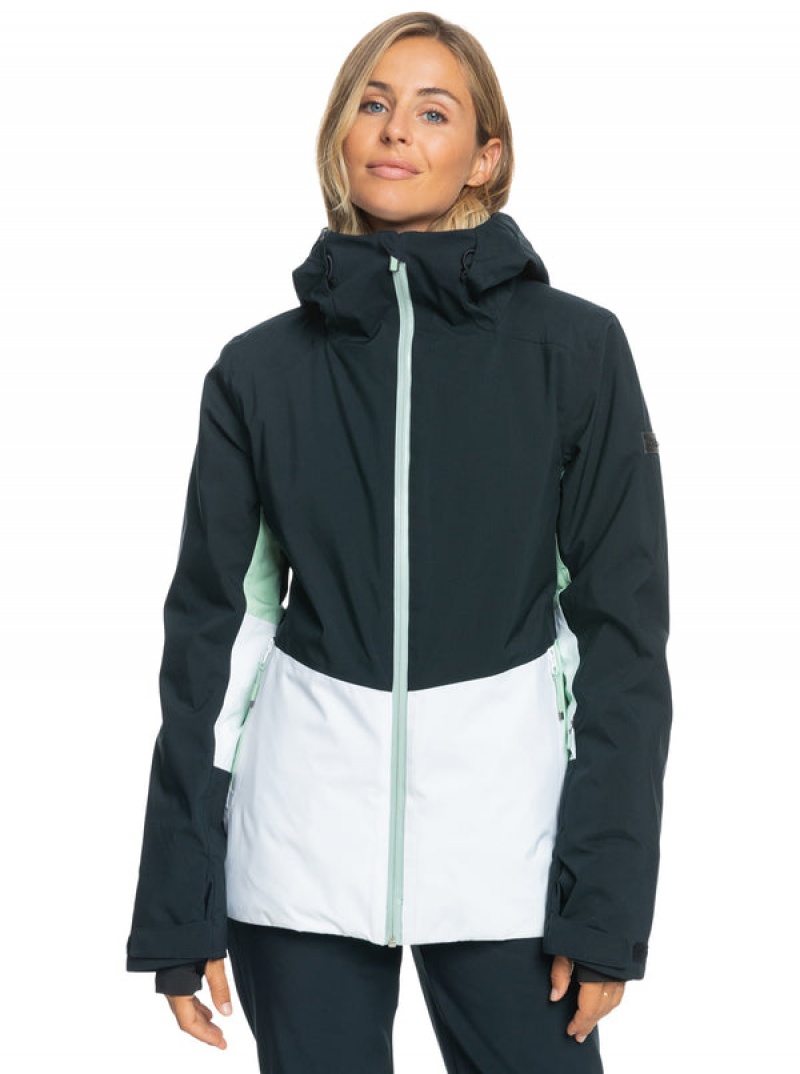 Roxy Peakside Technical Snowboard Jackets | 17346-WNZV