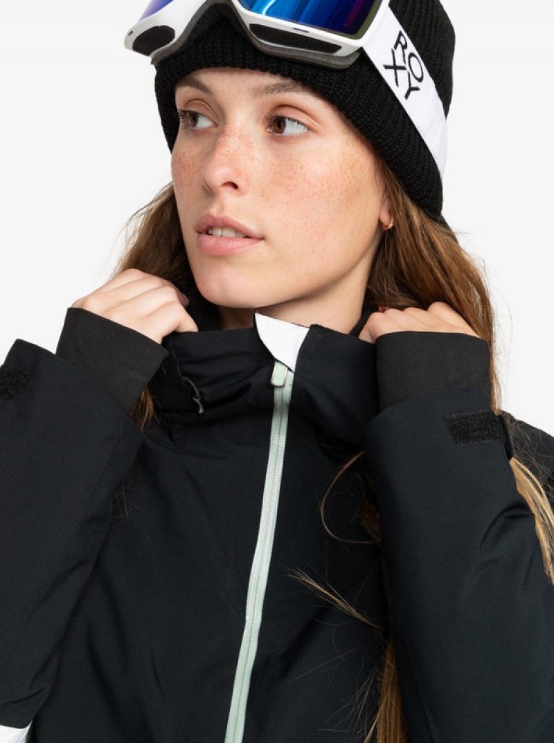 Roxy Peakside Technical Snowboard Jackets | 17346-WNZV