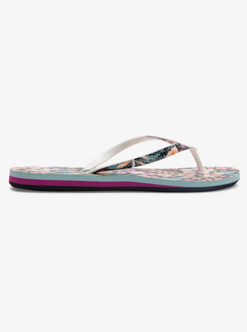 Roxy Portofino Flip Flops | 02635-BMVW