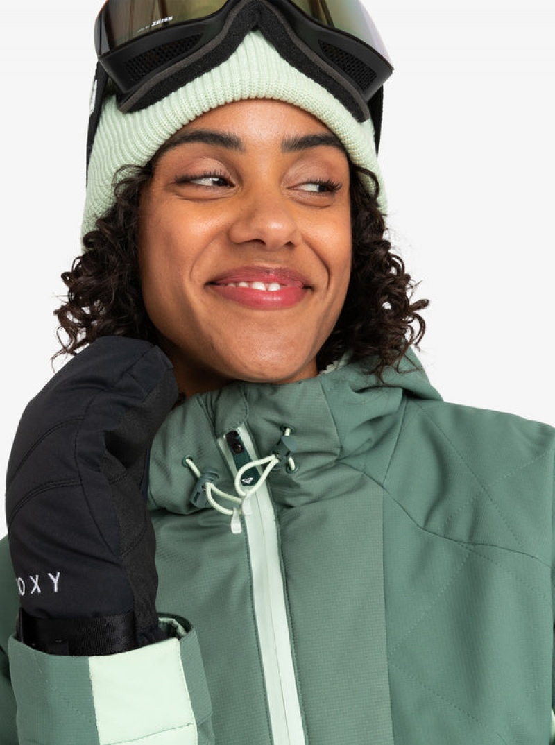 Roxy Radiant Lines Overhead Technical Snowboard Jackets | 16034-DICG