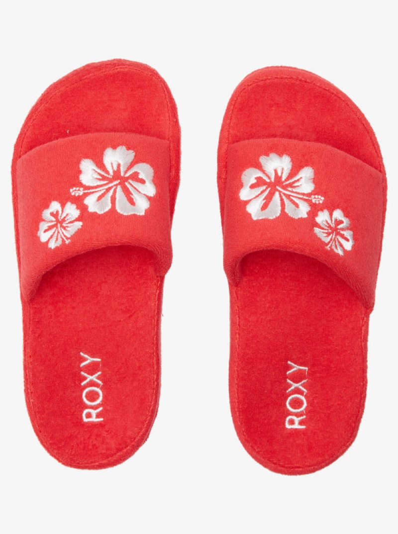 Roxy Slippy Sandals | 69342-YQGT