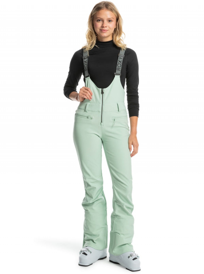 Roxy Summit Technical Bib Snowboard Pants | 89314-JFPB