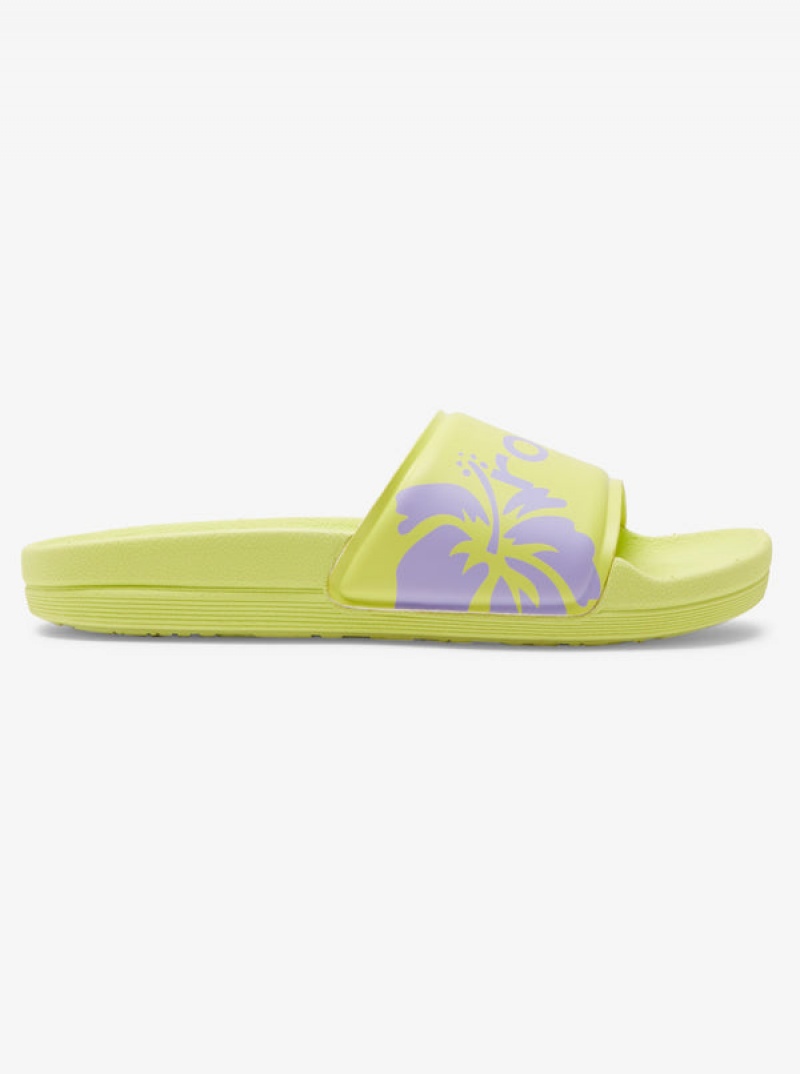 Roxy Surf.Kind.Kate. Slippy Sandals | 50486-TNPZ