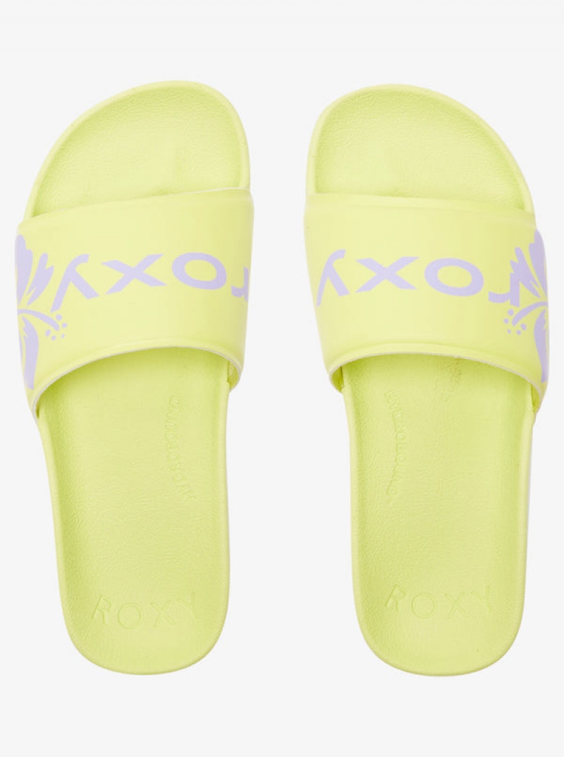 Roxy Surf.Kind.Kate. Slippy Sandals | 50486-TNPZ