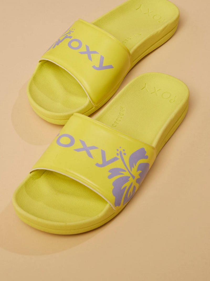 Roxy Surf.Kind.Kate. Slippy Sandals | 50486-TNPZ