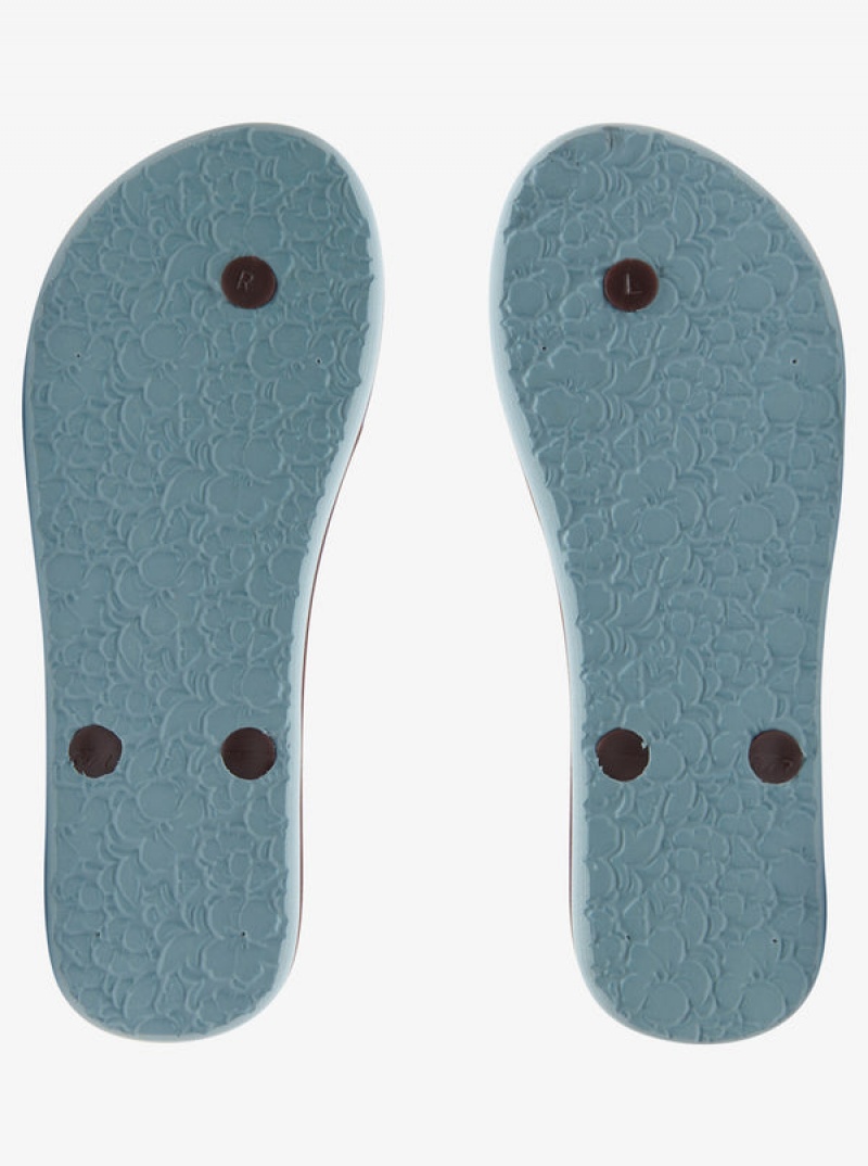 Roxy Tahiti Flip Flops | 21473-YNJK