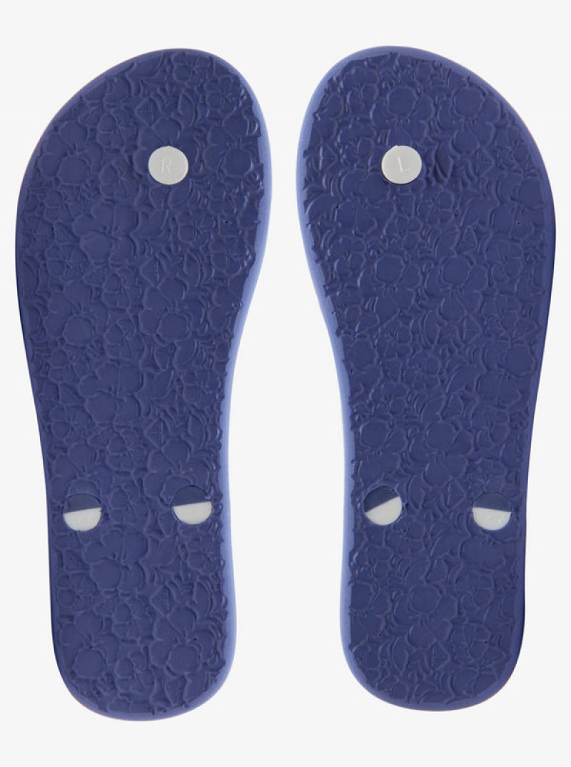 Roxy Tahiti Flip Flops | 39645-UMXQ