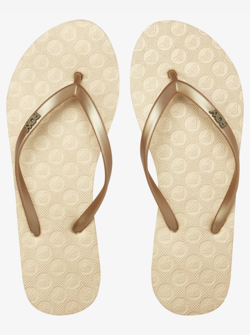 Roxy Viva Flip Flops | 79842-TBYL