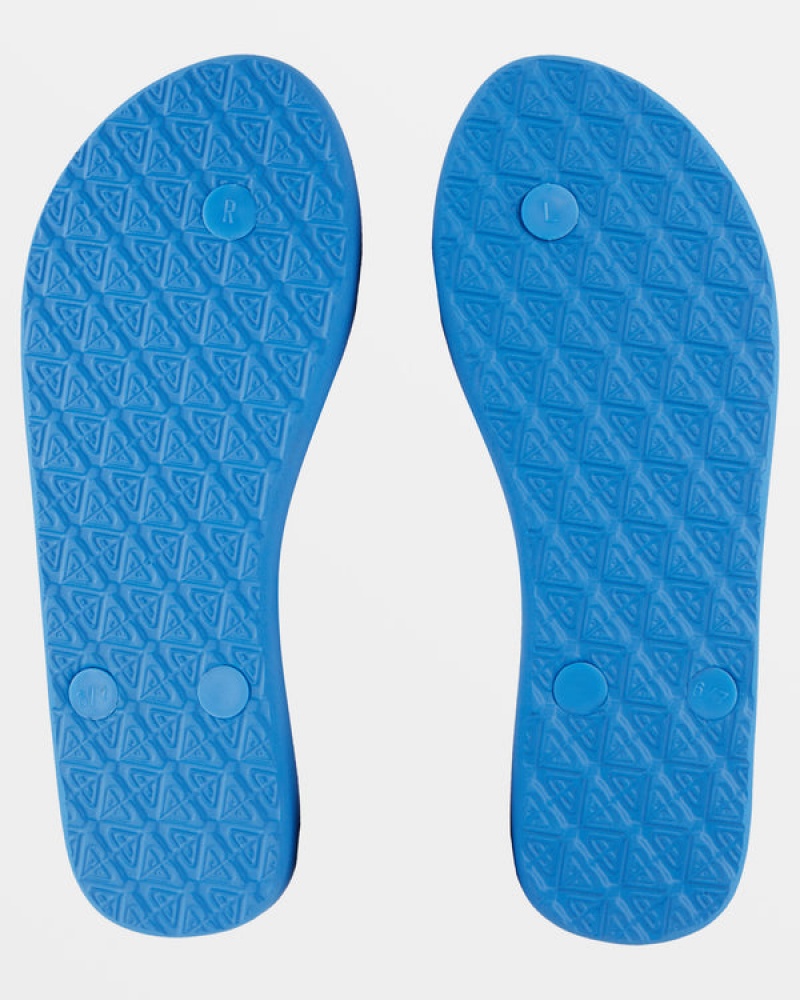 Roxy Viva Stamp Flip Flops | 64917-XKRN