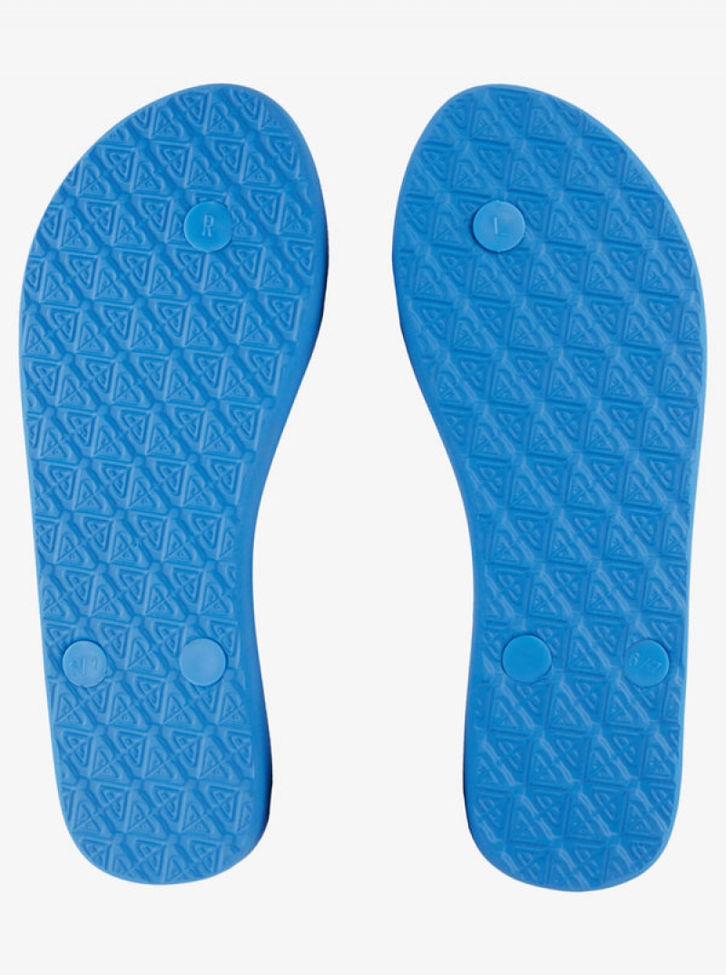 Roxy Viva Stamp Flip Flops | 64917-XKRN